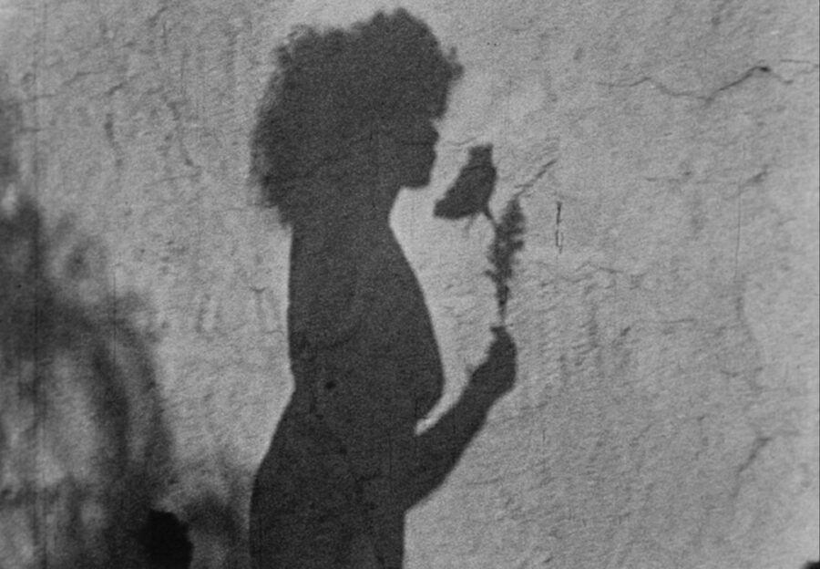 Afficher l'image meshes-of-the-afternoon-02