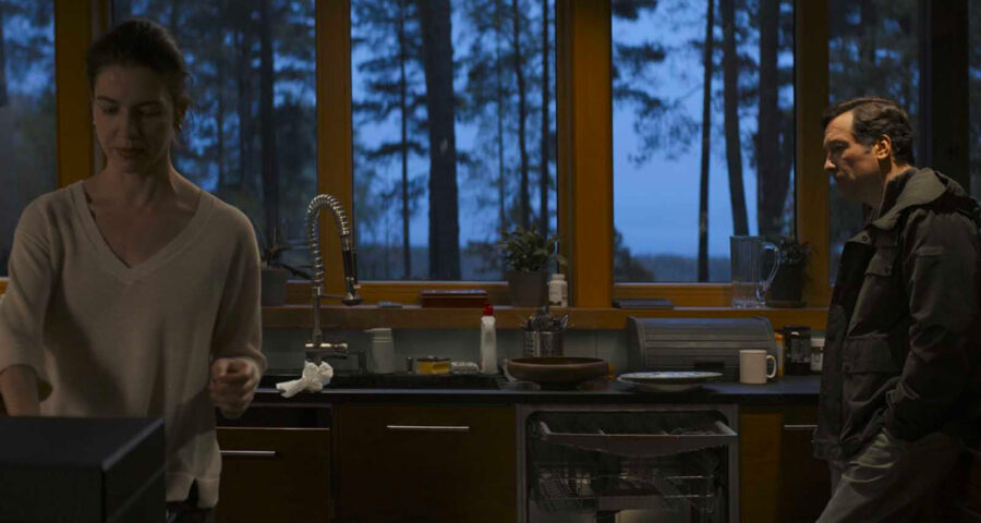 Afficher l'image Dmitriy Mazurov, Iris Lebedeva