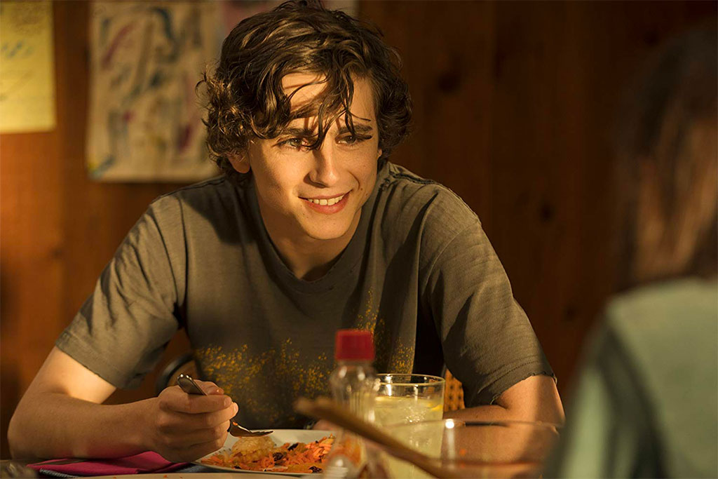 Timothée Chalamet dans My Beautiful boy