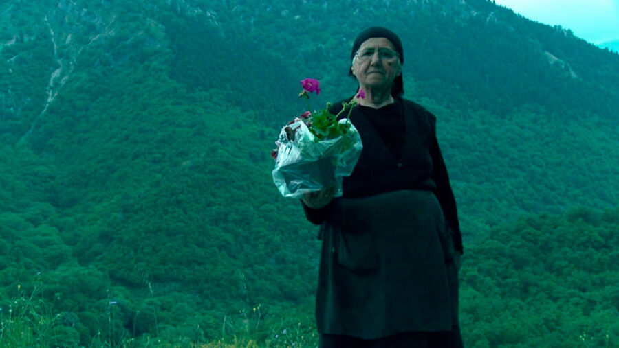 Afficher l'image nikos-lepicier-ambulant-01