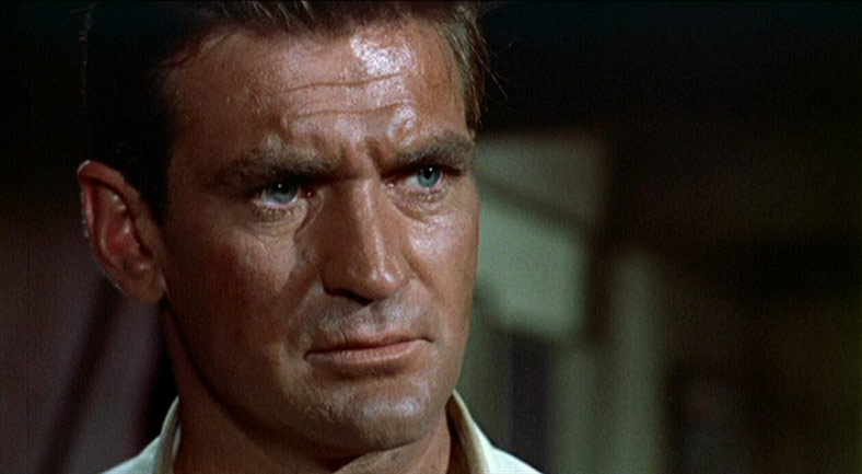 Rod Taylor dans Les Oiseaux