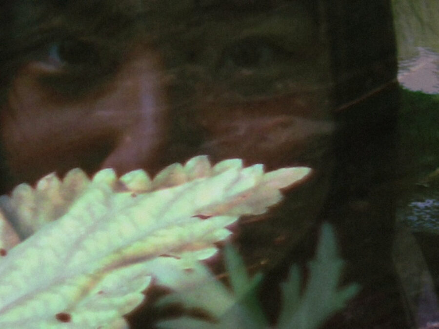 Afficher l'image our-merging-hearts-3