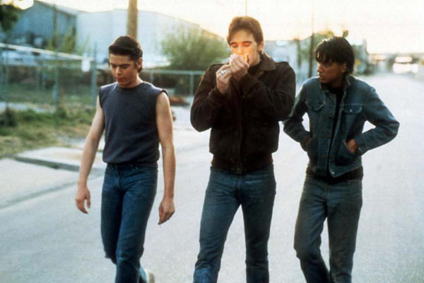 Matt Dillon, C. Thomas Howell, Ralph Macchio dans Outsiders