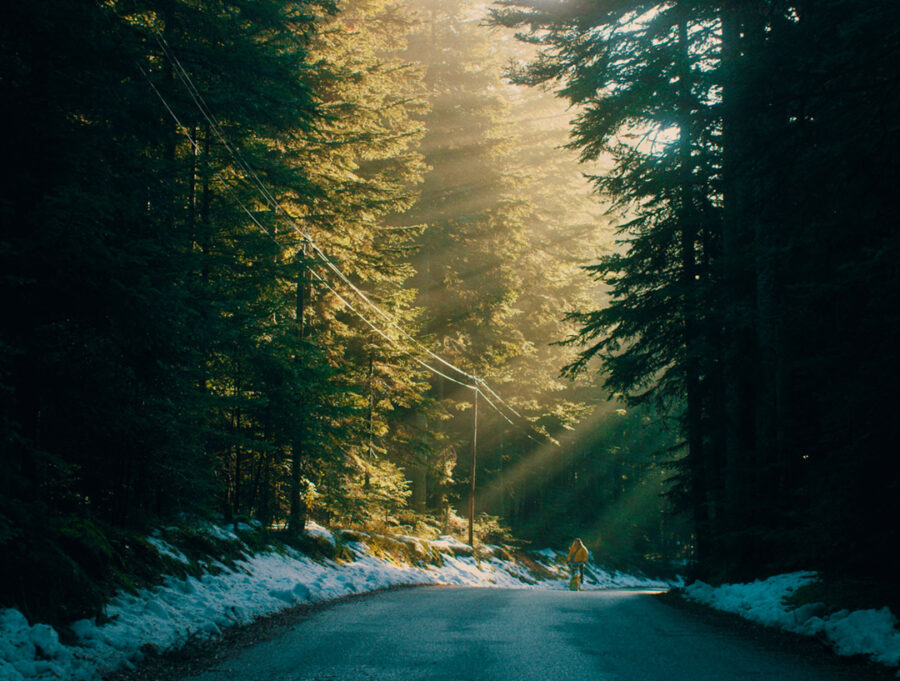 Afficher l'image parents