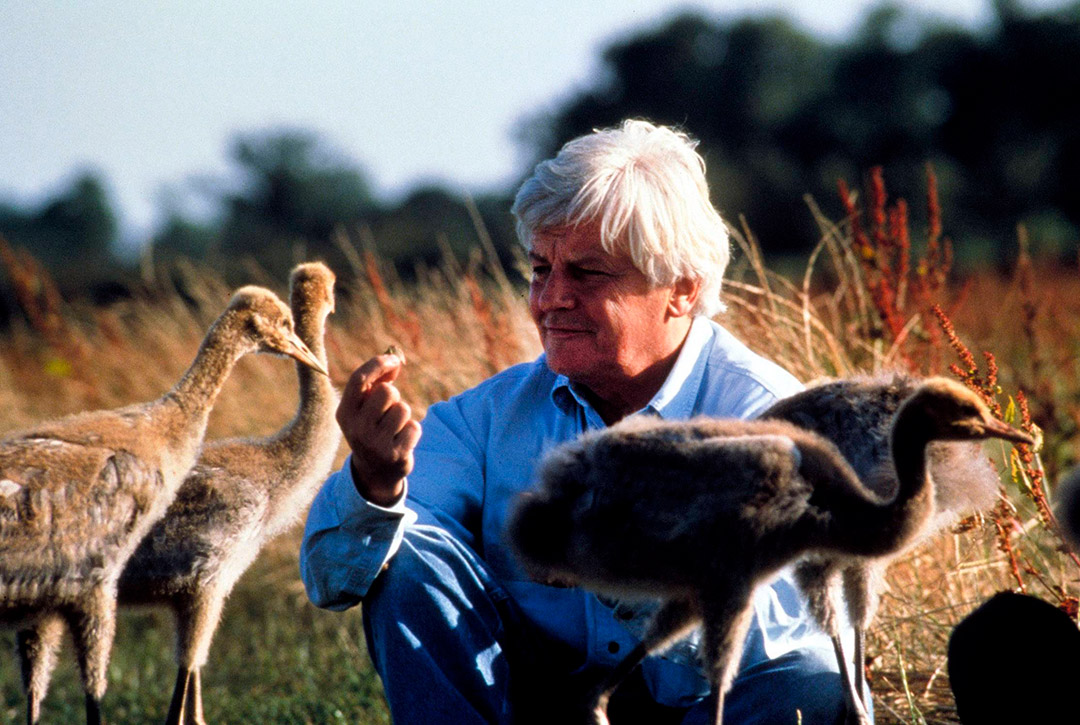 Jacques Perrin dans le Peuple migrateur