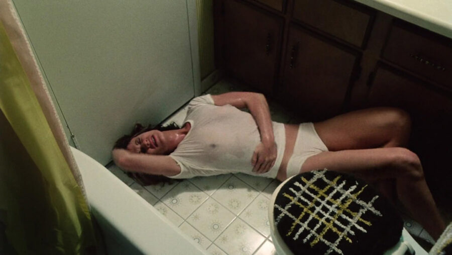 Afficher l'image Marilyn Chambers