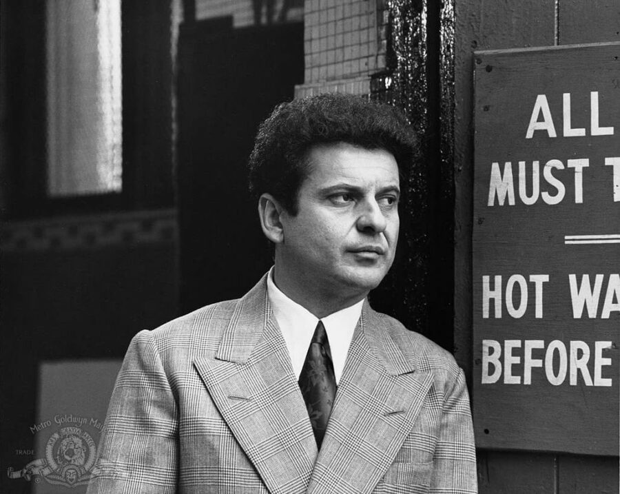 Afficher l'image Joe Pesci