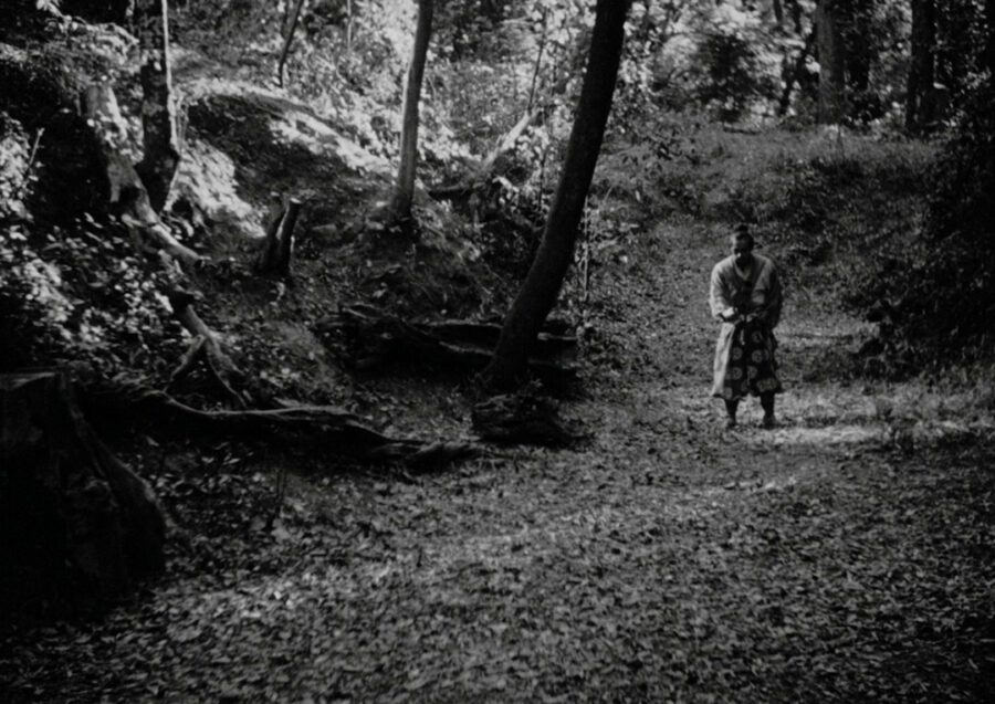 Afficher l'image rashomon-05