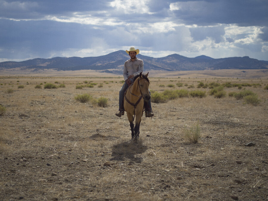 Afficher l'image Josh O'Connor