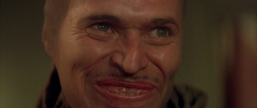 Afficher l'image Willem Dafoe