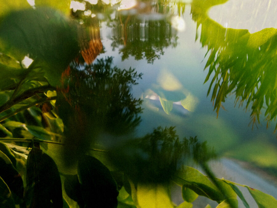 Afficher l'image so-many-love-stories-1