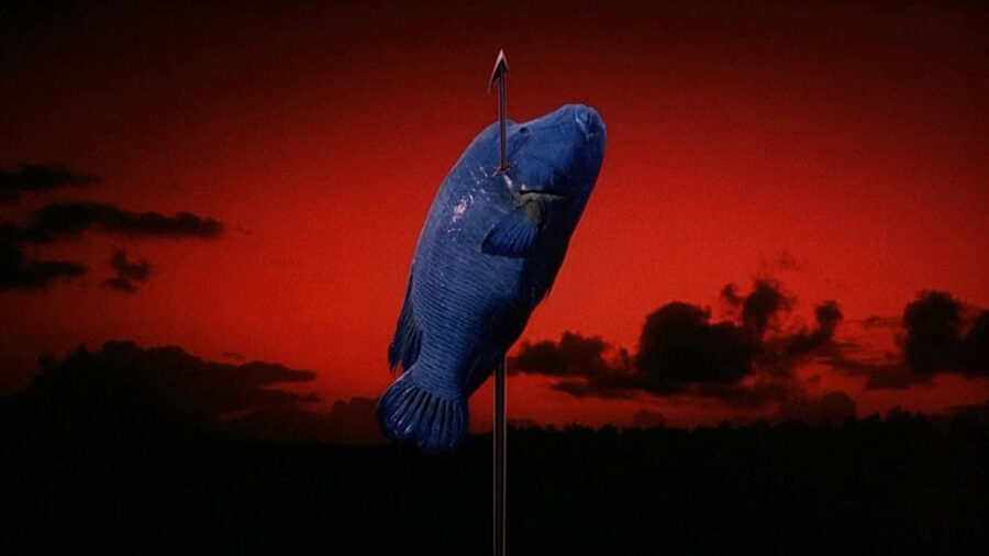 Afficher l'image sonatine-03