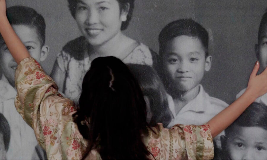 Afficher l'image sous-les-cendres-du-mekong