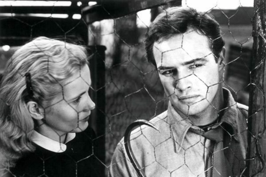 Afficher l'image Marlon Brando, Eva Marie Saint