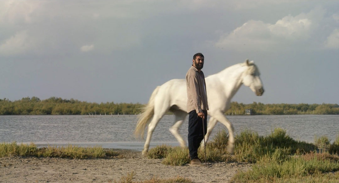 Ramzy Bedia dans Terminal sud