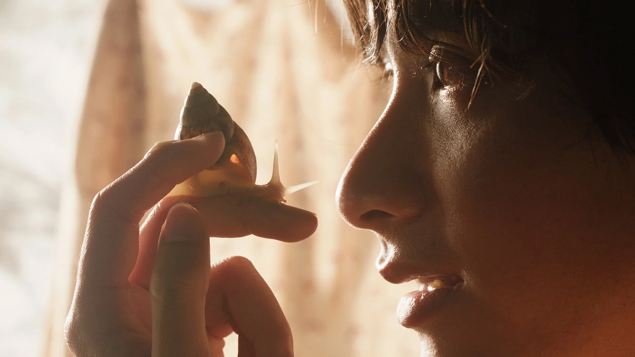 dans The Dream is a snail