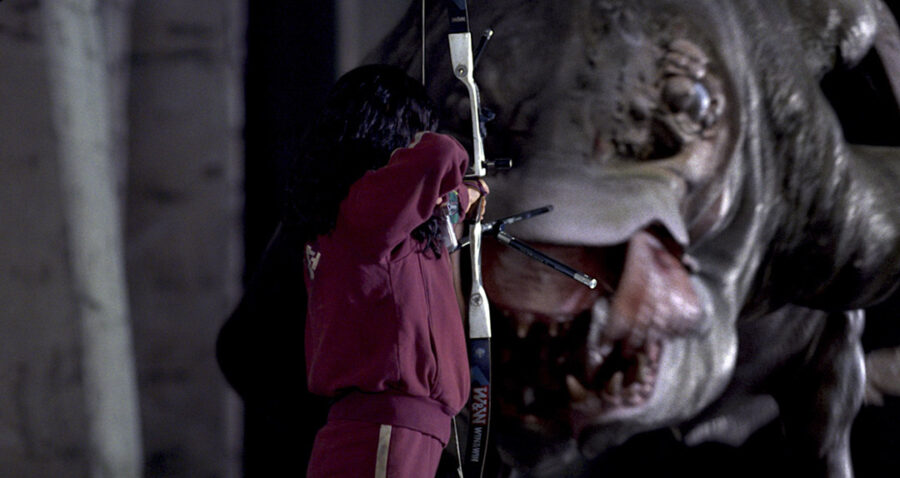 Afficher l'image Bae Doona