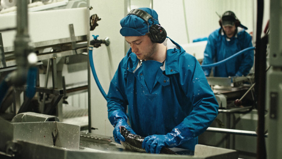 Afficher l'image the-last-paradise-on-earth-01