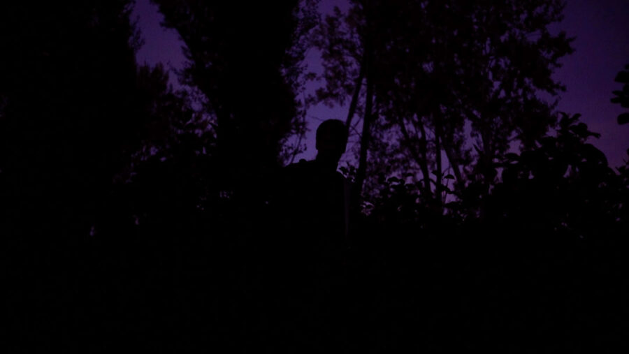 Afficher l'image Dominik Warta