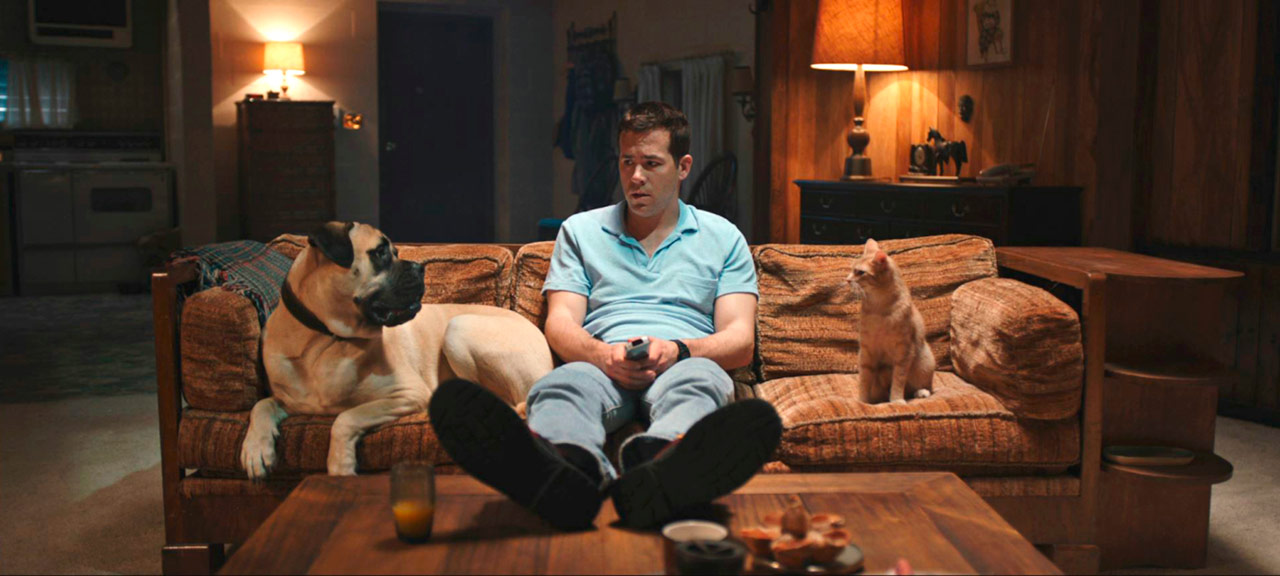 Ryan Reynolds dans The Voices