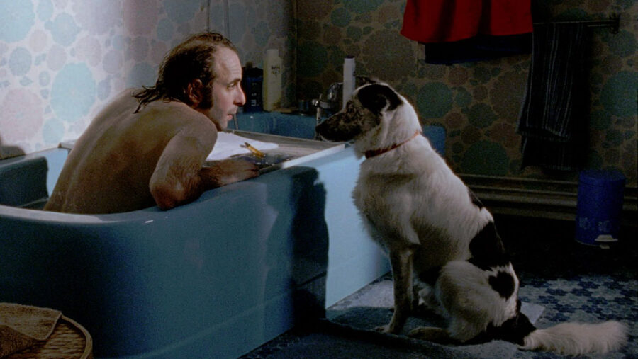 Afficher l'image Vincent Macaigne