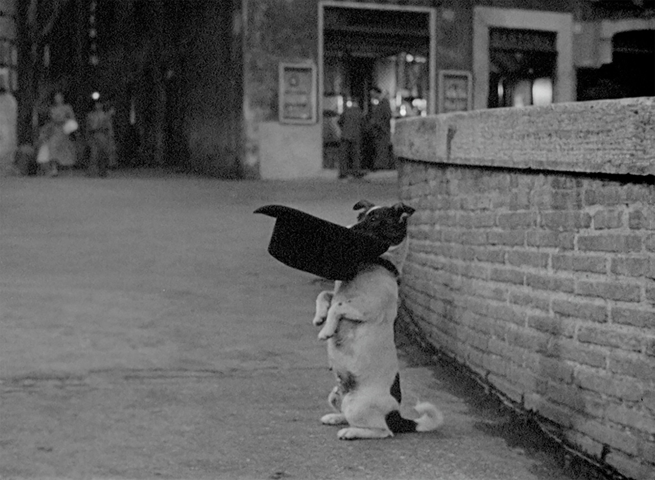 dans Umberto D.