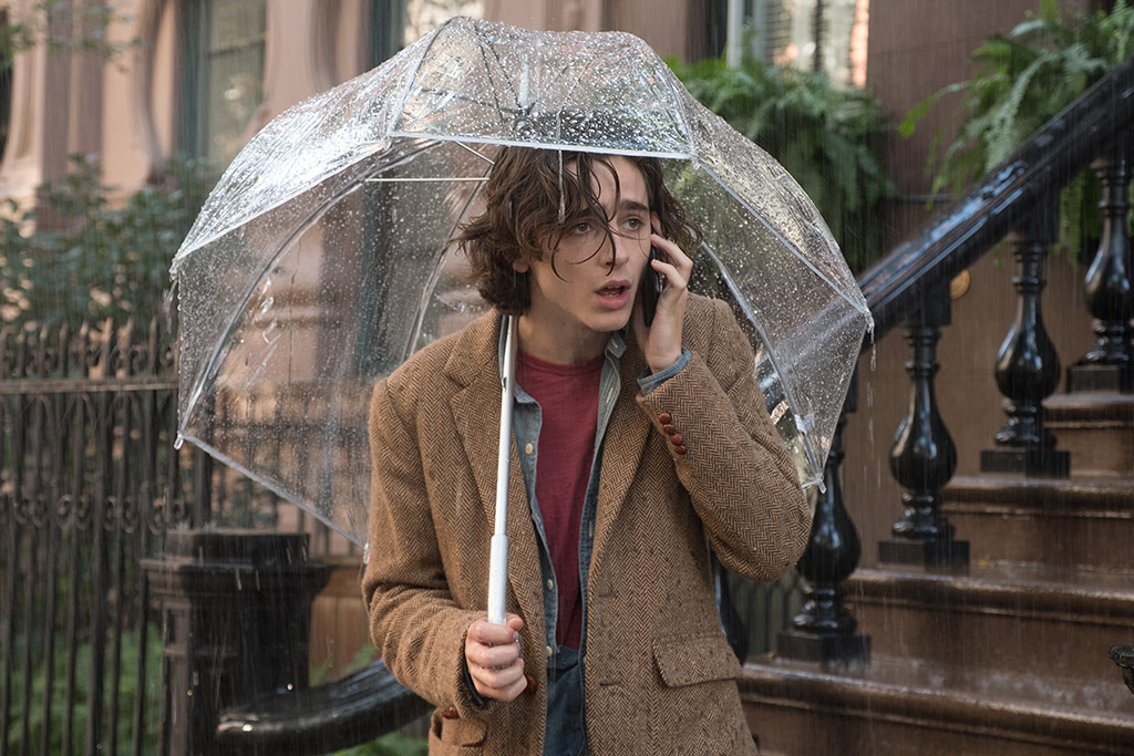 Timothée Chalamet dans Un Jour de pluie à New York