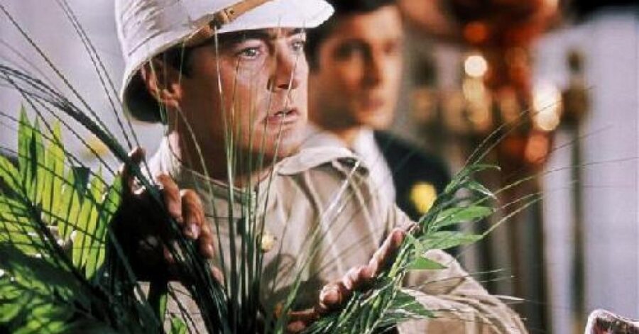 Afficher l'image Kyle MacLachlan