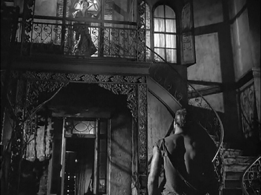 Afficher l'image Marlon Brando, Kim Hunter