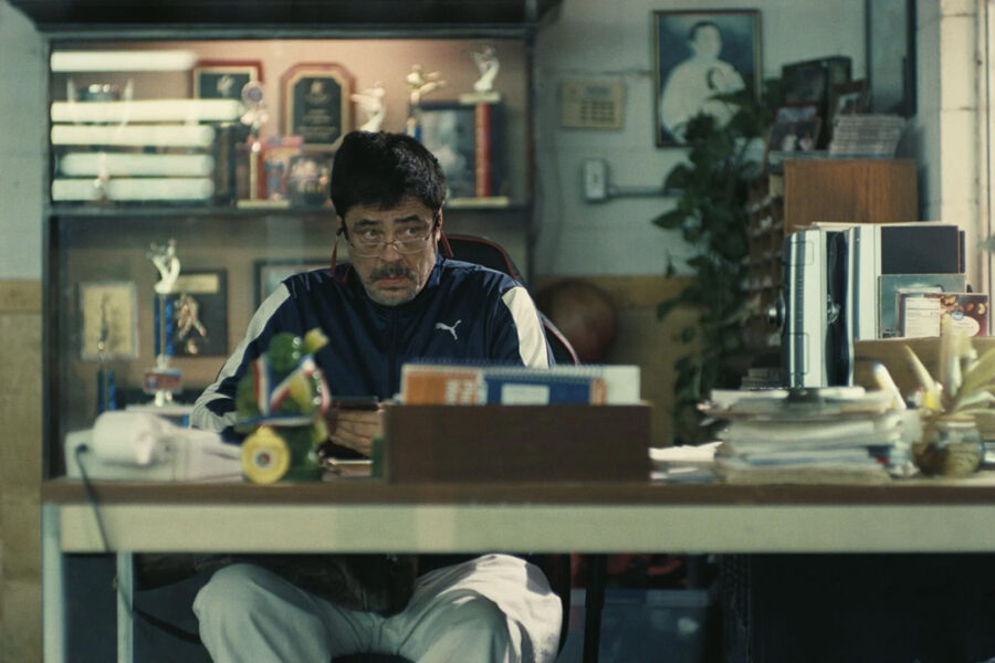 Afficher l'image Benicio Del Toro