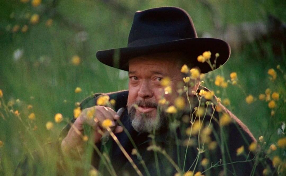 Orson Welles dans F for fake