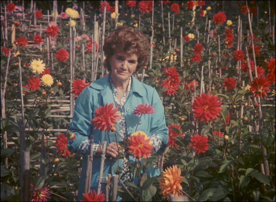 Afficher l'image visite-ou-memoires-et-confessions-02