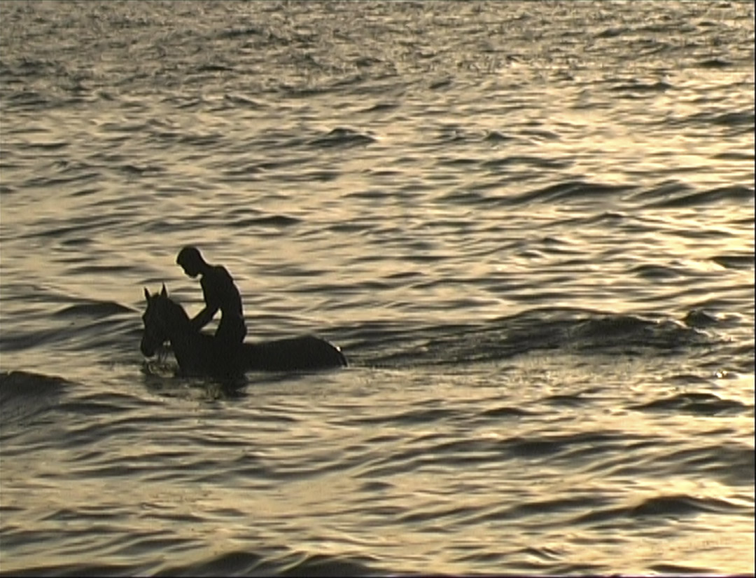 dans Voyage à Gaza