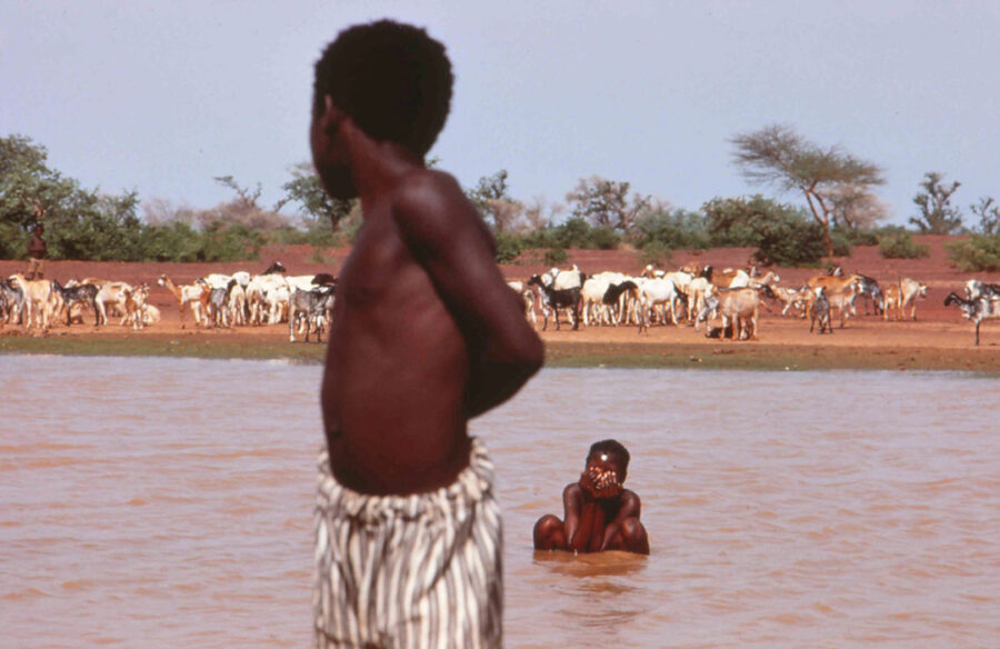 Afficher l'image yaaba-04