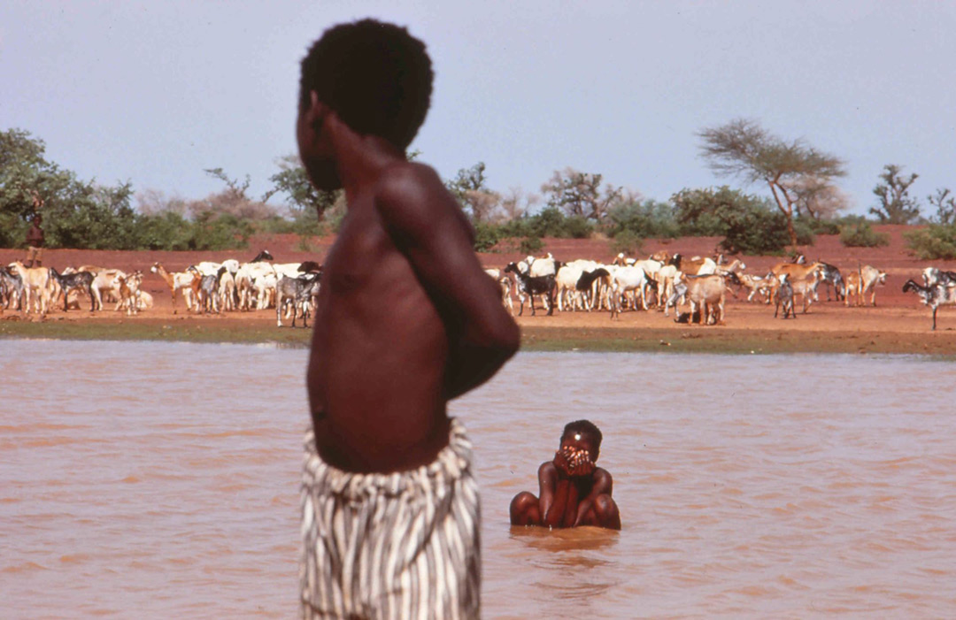 dans Yaaba