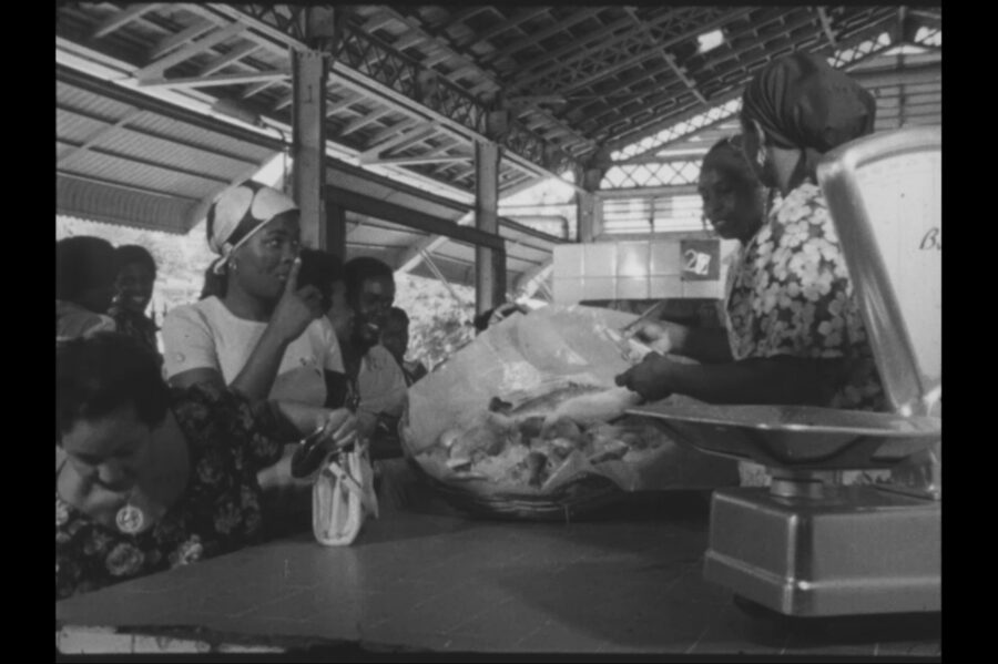 Afficher l'image zatrap-03