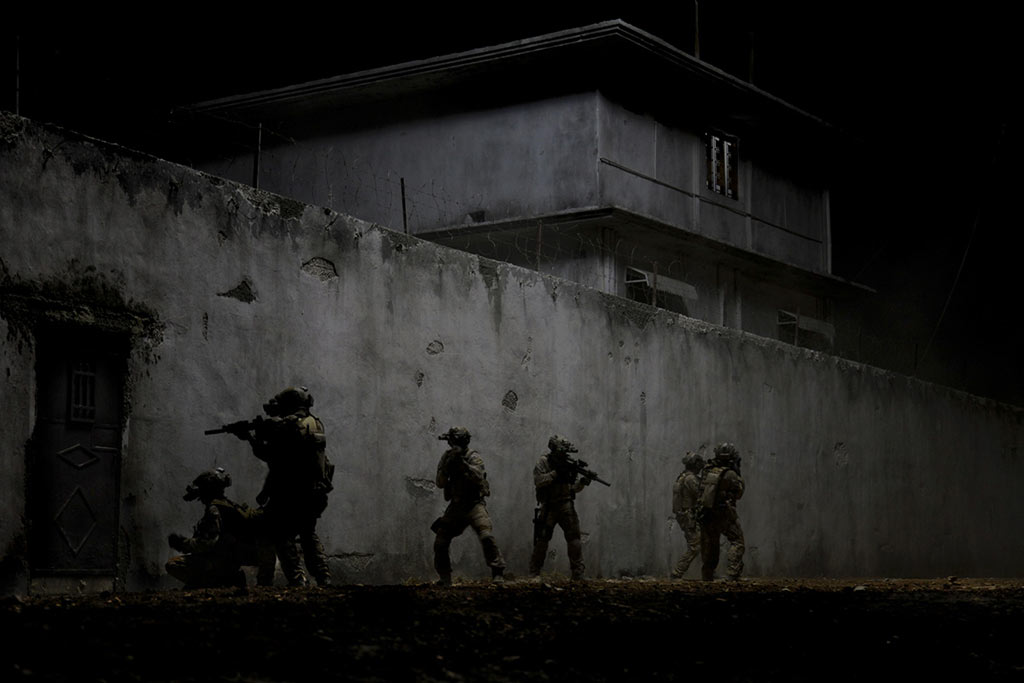 dans Zero dark Thirty