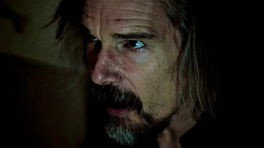 Afficher l'image Ethan Hawke